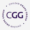 Chilean Grape Group