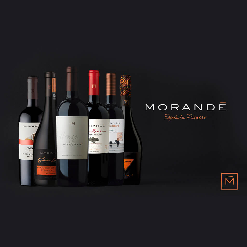 High Density Vineyards - Morandé English